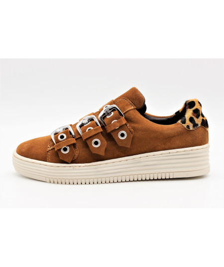 coco abricot nouvelle collection