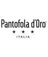 pantofola d'oro